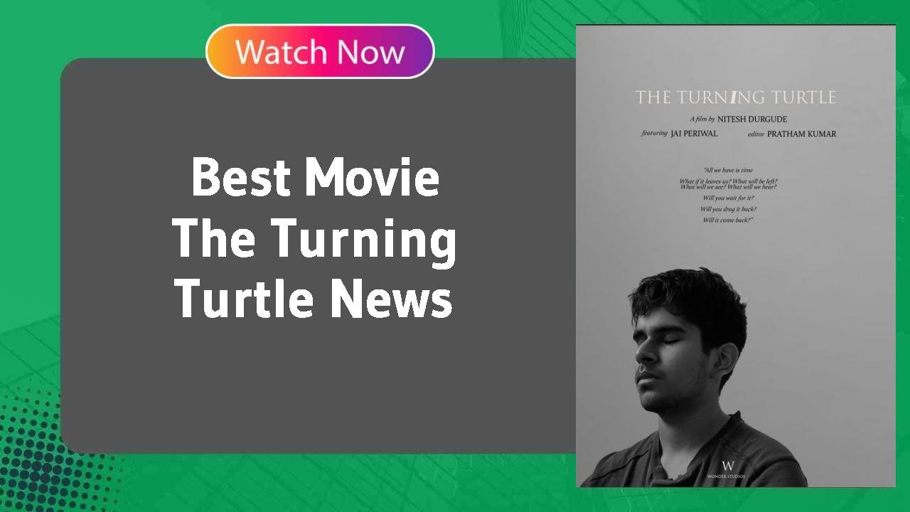 The Turning Turtle